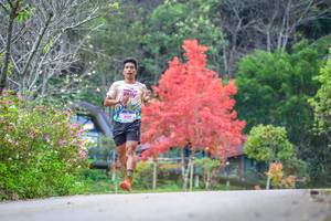 BIB: 129
                            <button type="button" onclick="openModal(19238937)" class="btn btn-primary btn-sm float-right btn-popup" data-toggle="modal" data-target=".modal-high-quality">
                        <i class="fas fa-shopping-cart"></i> Add to Cart
                    </button>
                                            <button type="button" onclick="isThisMe(19238937, true)" class="btn btn-success btn-sm float-right btn-popup btn-isme hidden" data-toggle="tooltip" data-placement="bottom" title="นี่คือรูปของคุณใช่ไหม คลิกที่นี่เพื่อเอาเข้าอัลบั้ม">
                        <i class="fas fa-plus"></i> Add to album
                    </button>
                    <button type="button" onclick="isThisMe(19238937, false)" class="btn btn-warning btn-sm float-right btn-popup btn-isnotme hidden">
                        <i class="fas fa-ban"></i> Remove from album
                    </button>